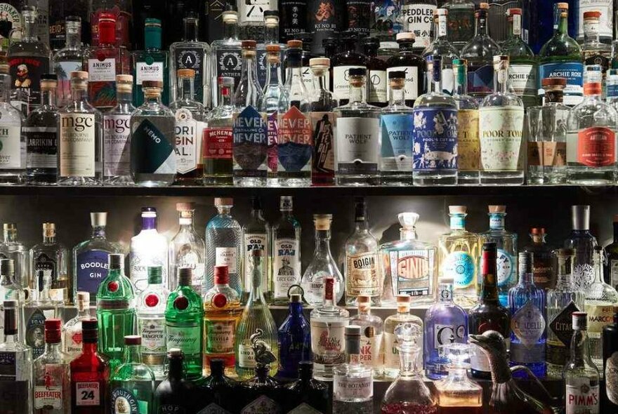 Two bar shelves filled with bottles of gin.