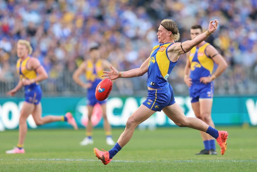 West Coast Eagles AFL football players during a match, one kicking a red ball.