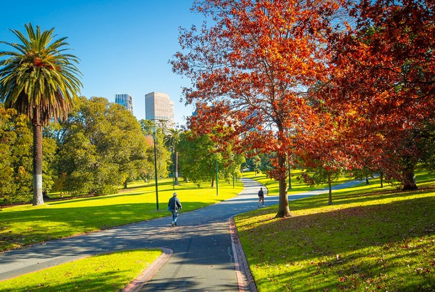 People walking in a park on a sunny day.