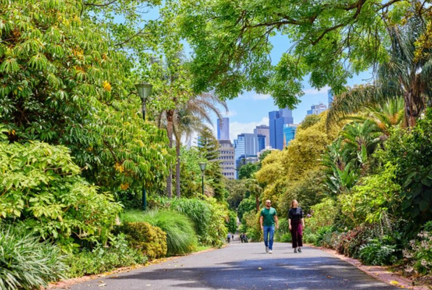 Two people walking down path with trees either side and city skyline in the background.