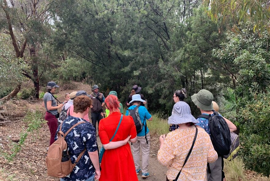 A group of people taking a walk through bushland, wearing hats.