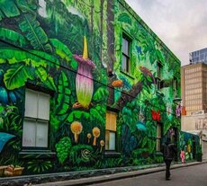 Guide to Melbourne’s best street art