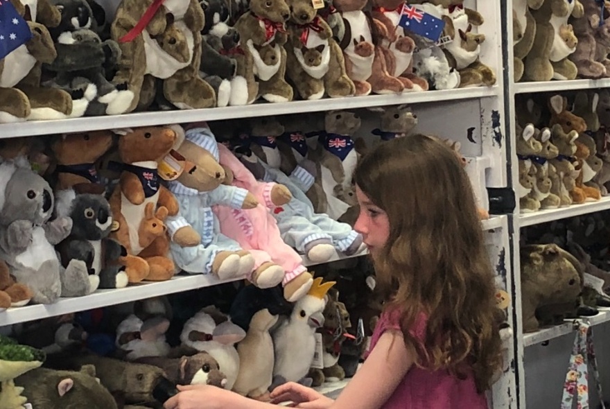 A child looking at shelves filled with Australian stuffed toys including koalas and kangaroos.
