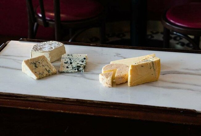 Different types of cheese on a marble board