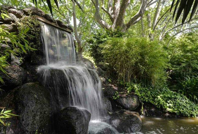 A waterfall in a garden