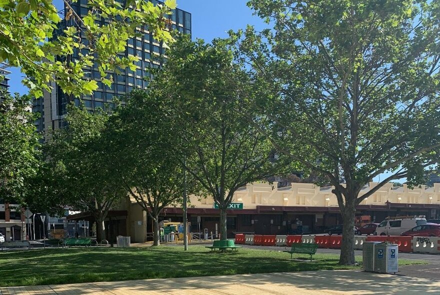 Green expanse of lawn with trees providing leafy shade and the Queen Victoria Market sheds visible in the background.