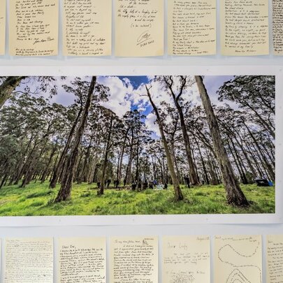 Reading/Writing: To the Trees