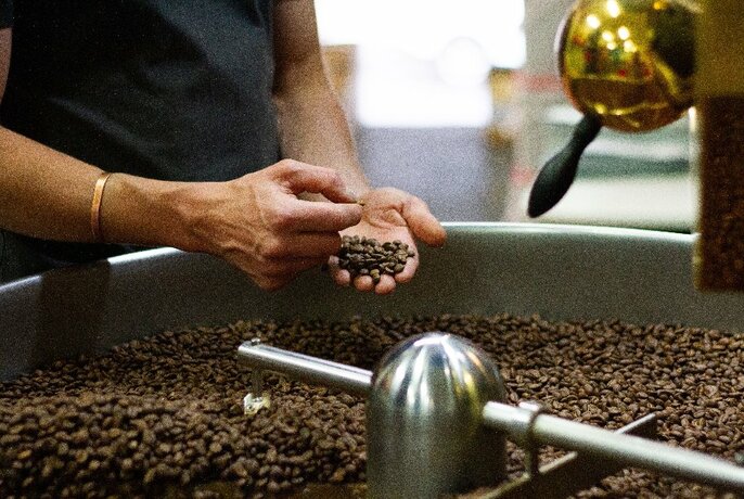 Someone checking the coffee beans with their hands after they've been freshly roasted.