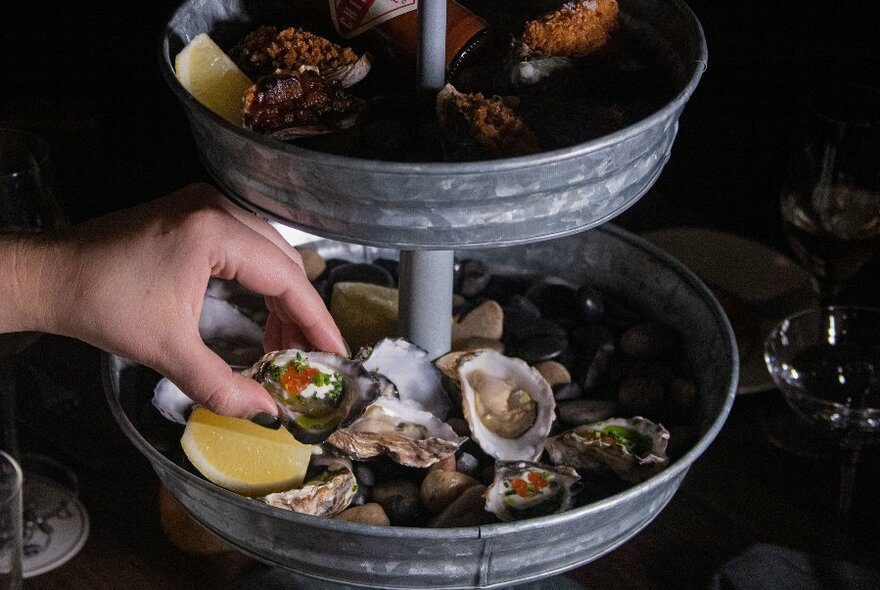 A hand picking up an oyster from a tiered ice bucket containing many shucked oysters with lemon wedges and other garnishes. 