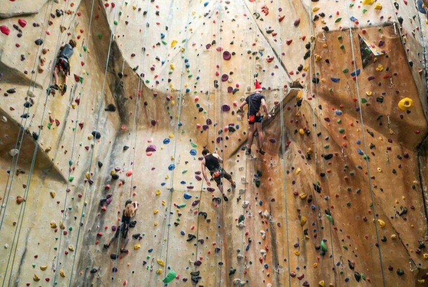 Four people climbing indoor rock climbing wall in harnesses. 