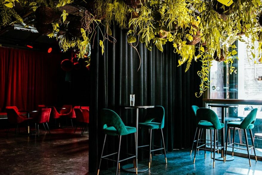 Interior room of Theory Bar, with high tables and stools, a polished concrete floor, and greenery hanging from the ceiling.