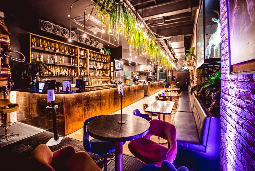 Modern-looking bar with tables to right and stools at front; plants handing over bar..