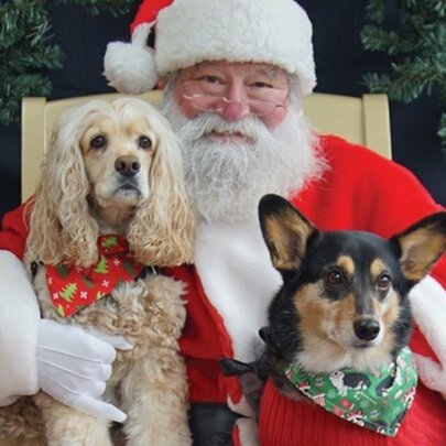 Santa Paws: A Photo With Santa and Your Furry Friend