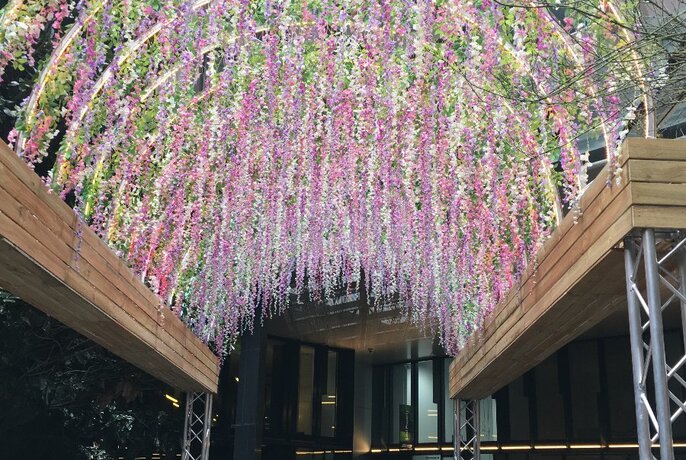 An illuminated garden installation featuring a walkway of hanging wisteria.