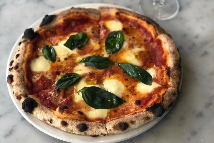 Pizza with mozzarella and bay leaves on a marble table.