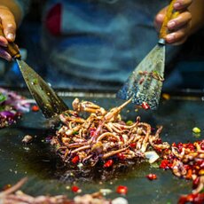 Taste of Asia Festival