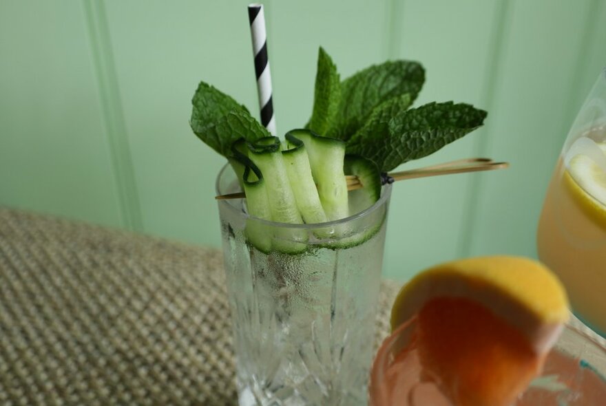 A clear cocktail in a long glass, garnished with cucumber and mint.