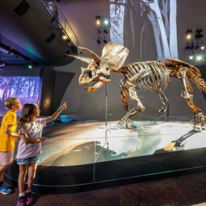 Free things to do with kids in Melbourne