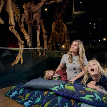 Family Museum Sleepovers