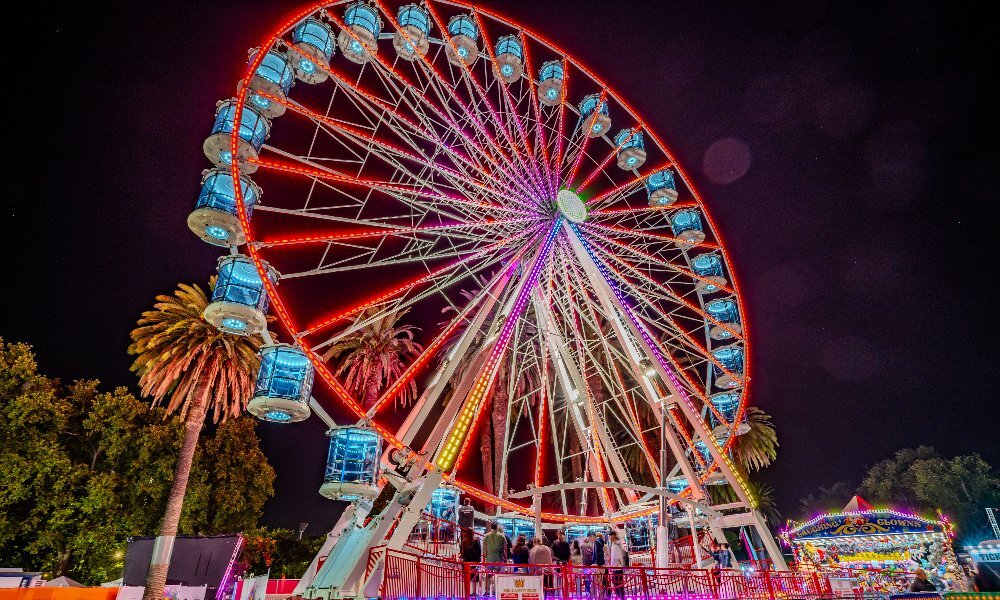 A Ferris wheel lit up with LED lights at night.