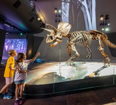 Free things to do with kids in Melbourne 