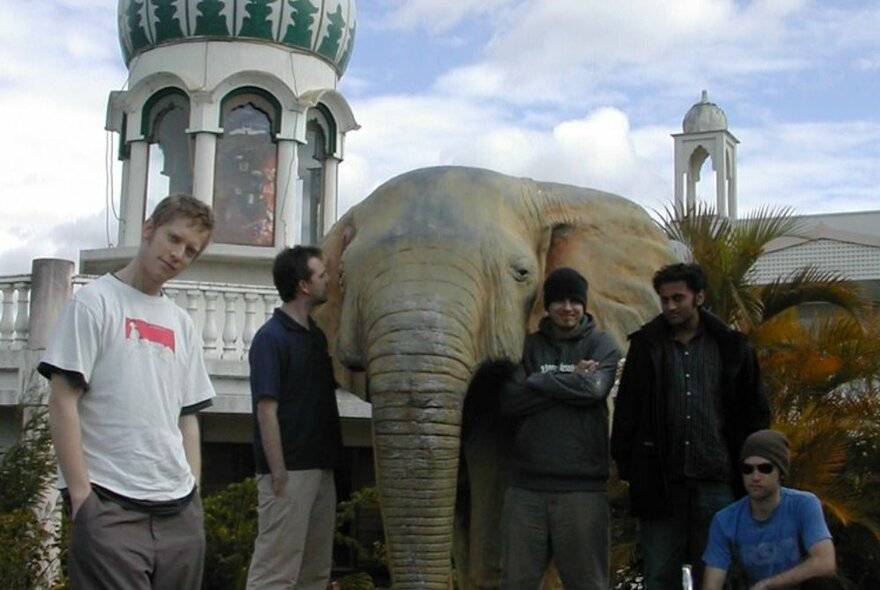 A group of performing artists standing around an elephant in hoodies and sunglasses.