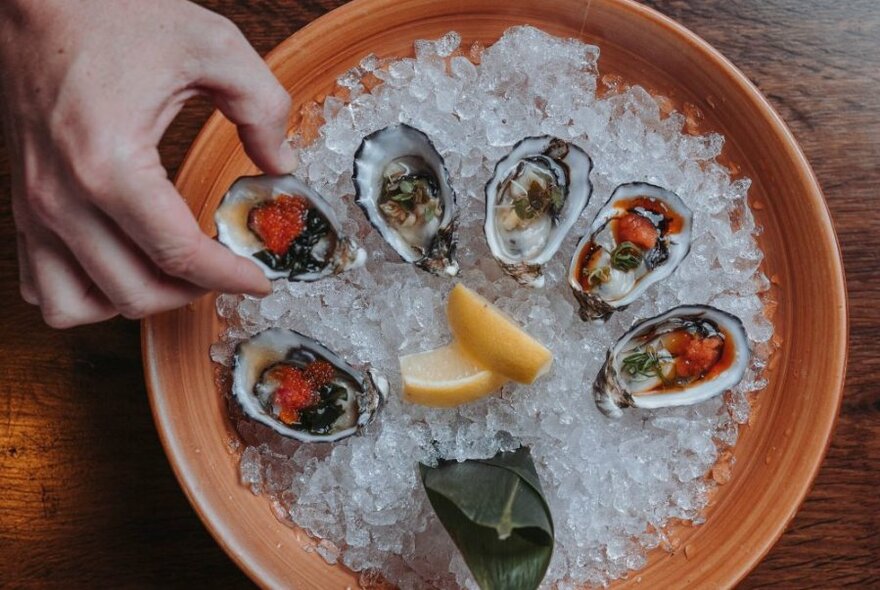 Plate of oysters sitting on crushed ice, with garnishes.